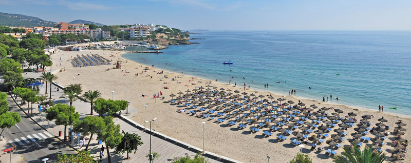 Palma nova